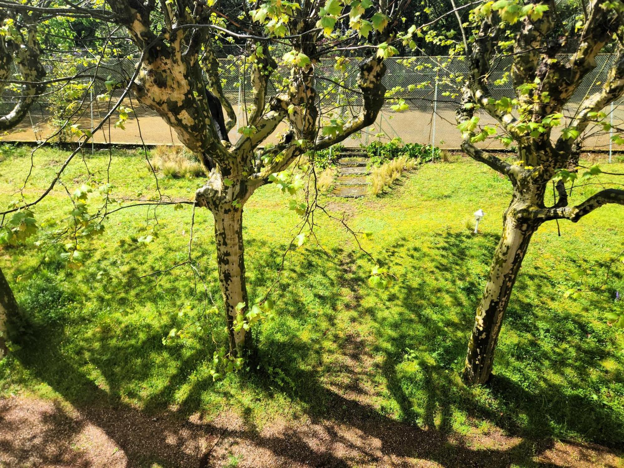 Villa Castel Maison-Table D'Hotes & Jardin-Refuge De Biodiversite Rillieux-la-Pape エクステリア 写真